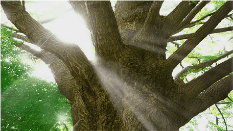 企業コンセプトイメージ画像